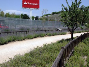 Mantenimiento Complejos Corporativos