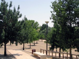 Mantenimiento Urbanizaciones