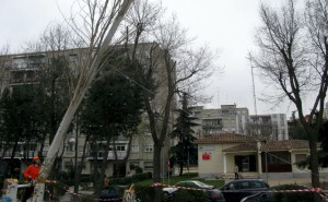 Podas y talas