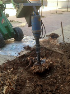 Podas y talas