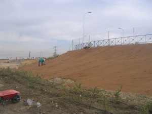 Restauración del paisaje